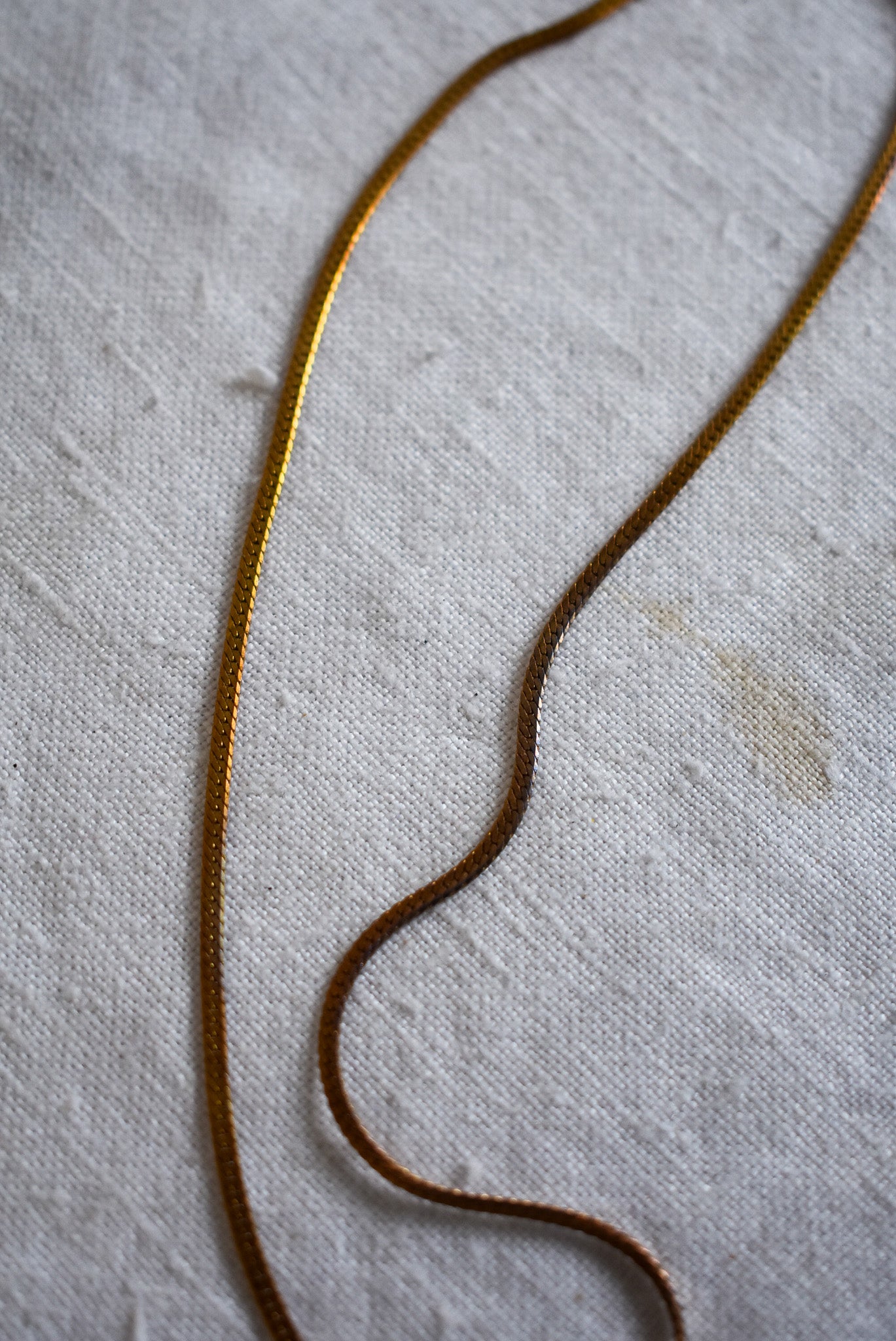 Delicate golden S-chain necklace