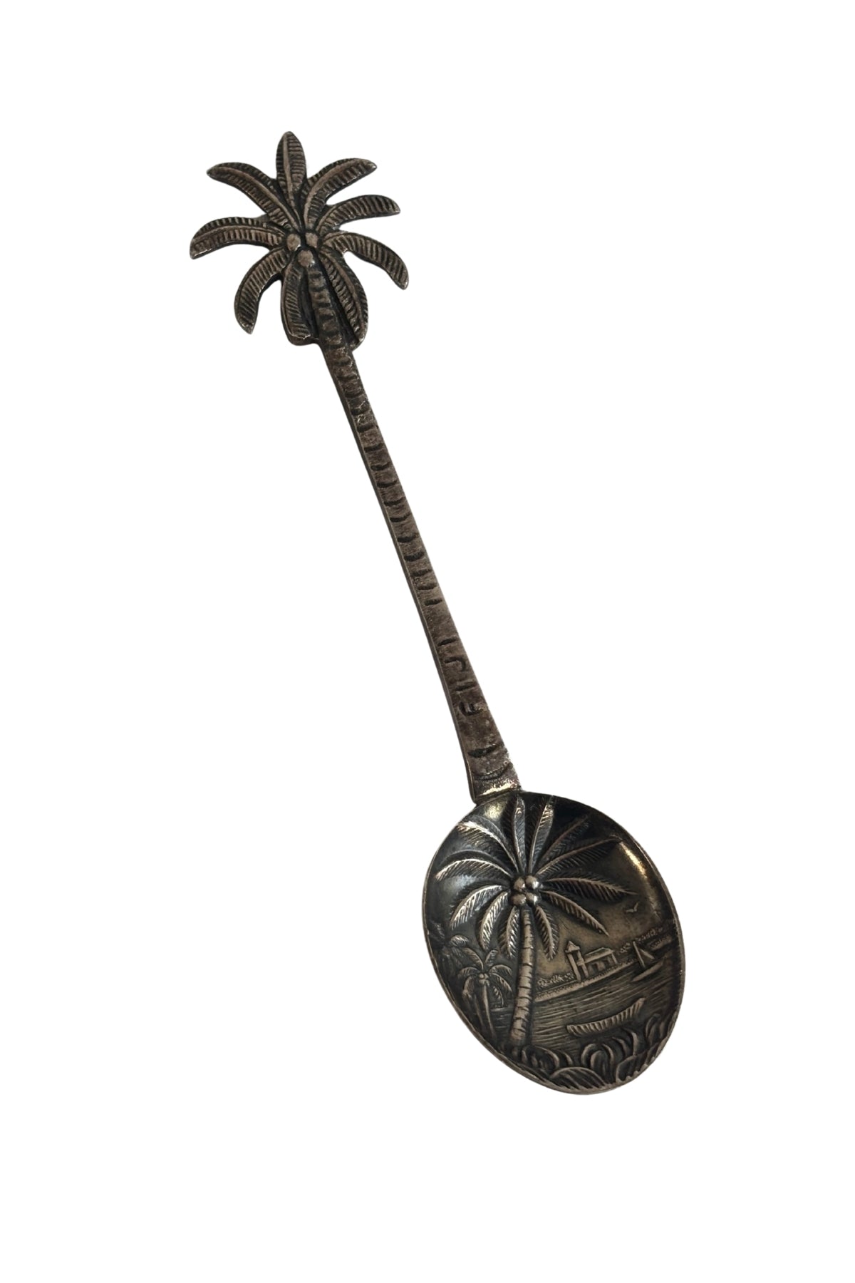 Fiji palm trees teaspoon