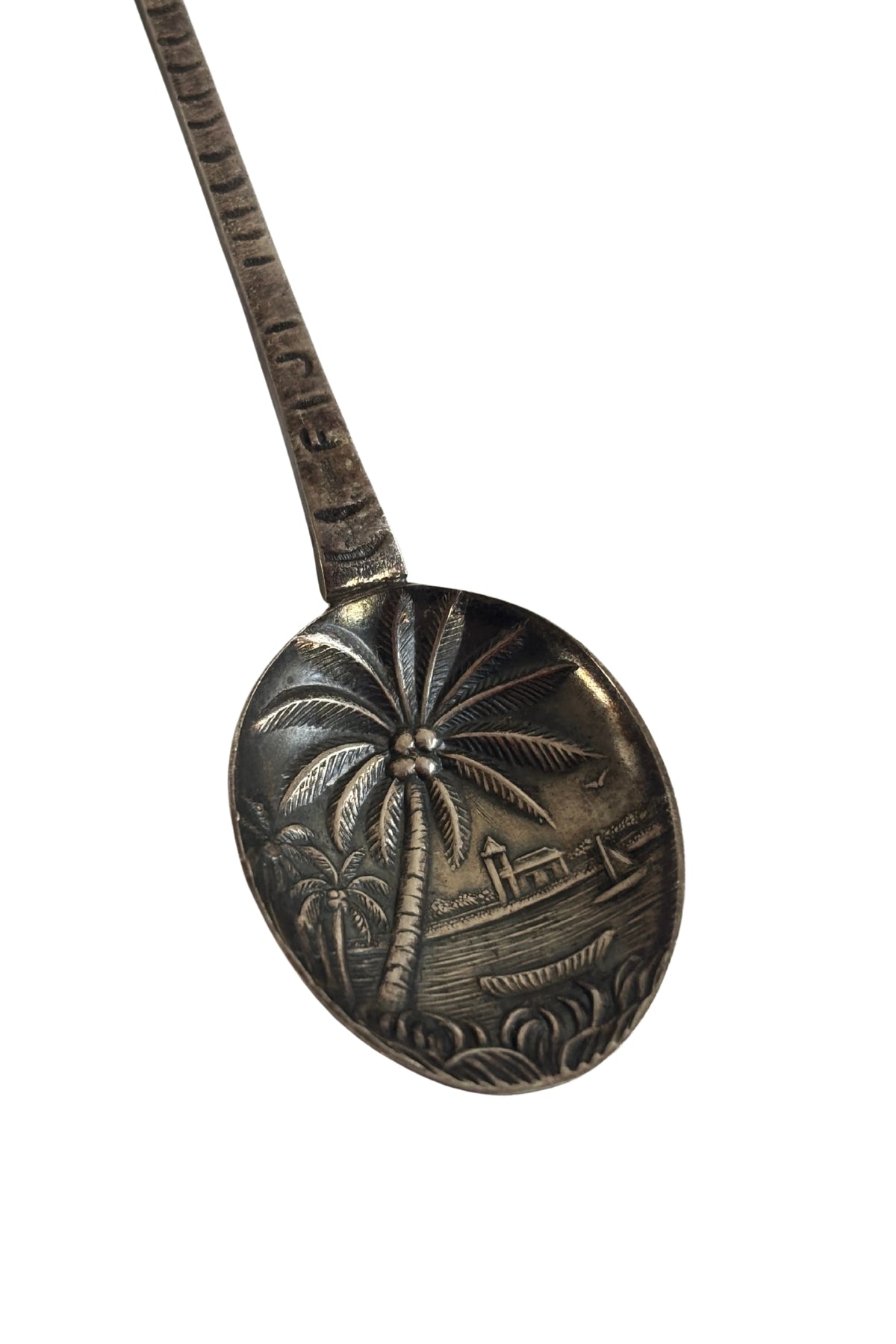 Fiji palm trees teaspoon