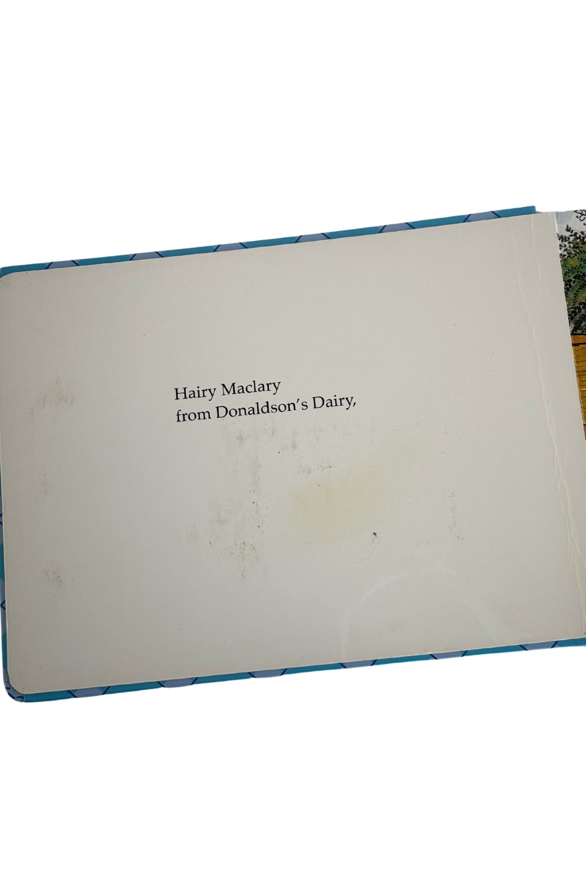 Hairy Maclary + Friends a touch and feel book