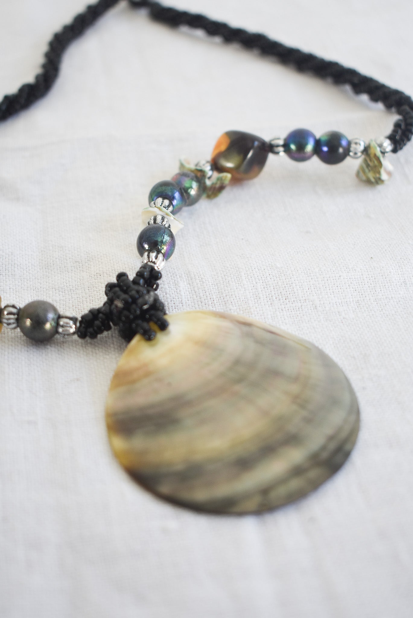 Beautiful shell necklace